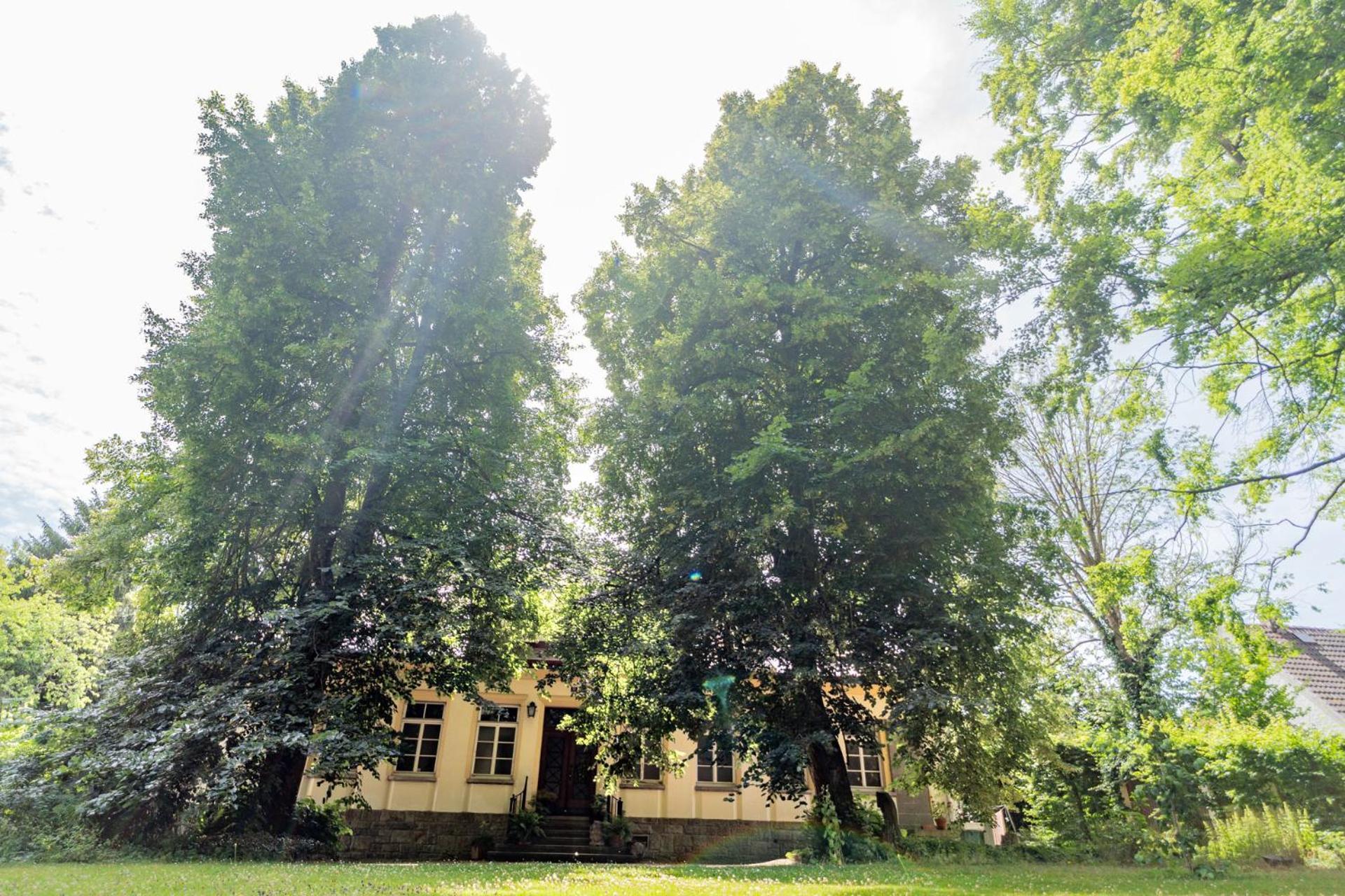 Villa Bergmann Münchberg Екстериор снимка